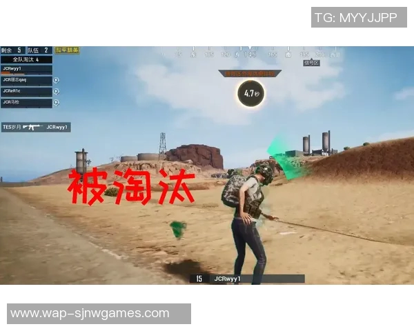 TES在精英赛中的节奏掌控与表现分析深度解读